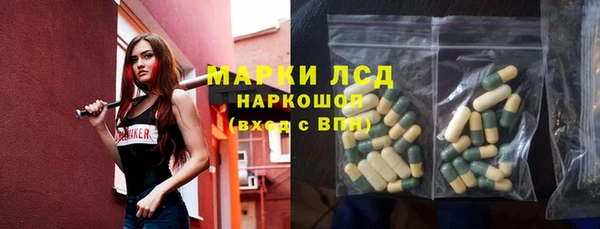 PSILOCYBIN Аркадак