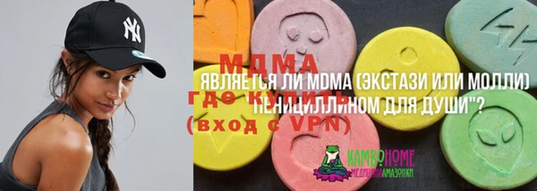 PSILOCYBIN Аркадак