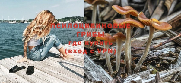 PSILOCYBIN Аркадак