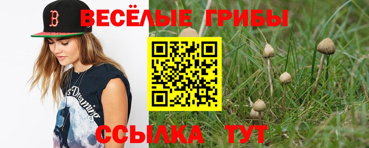 Псилоцибиновые грибы ЛСД Дедовск